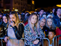 Toamna Orădeană 2017 | Concerte
