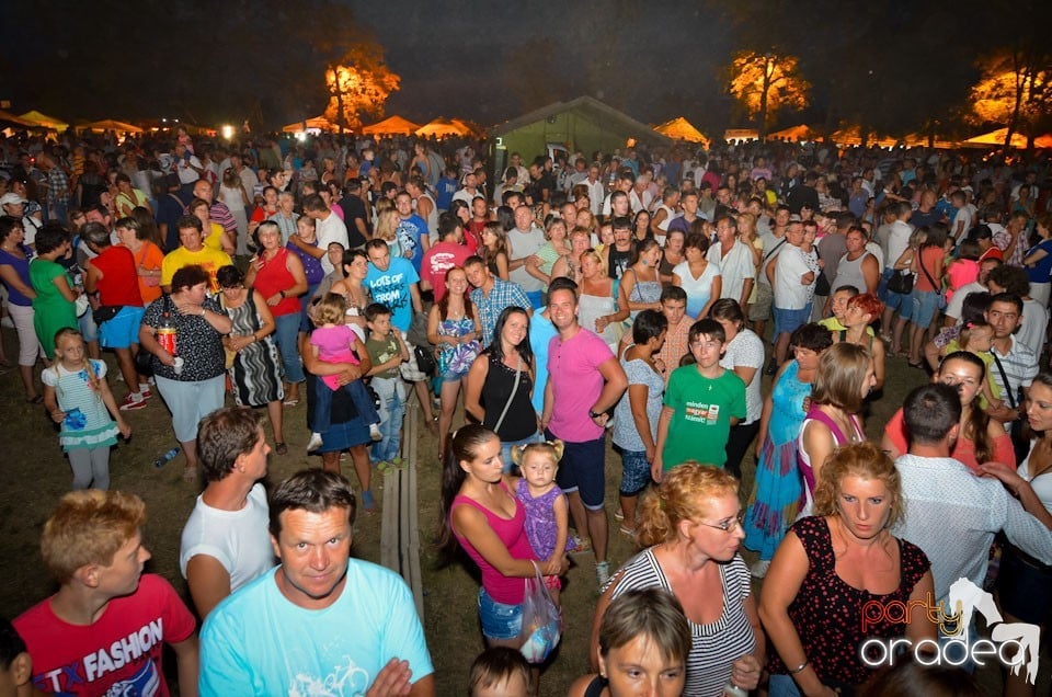 Zilele Comunei Cetariu: concert Janicsák Veca, 